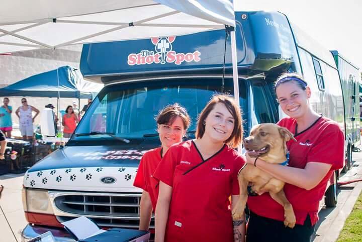 3 Great Reasons To Use A Mobile Veterinarian