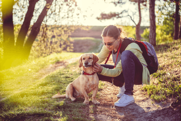 what do you do if you find a tick on your dog